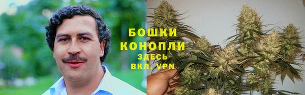 спайс Богданович