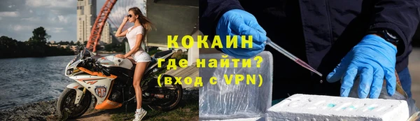 ГАЛЛЮЦИНОГЕННЫЕ ГРИБЫ Белокуриха