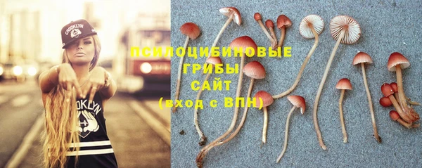 ГАЛЛЮЦИНОГЕННЫЕ ГРИБЫ Белокуриха