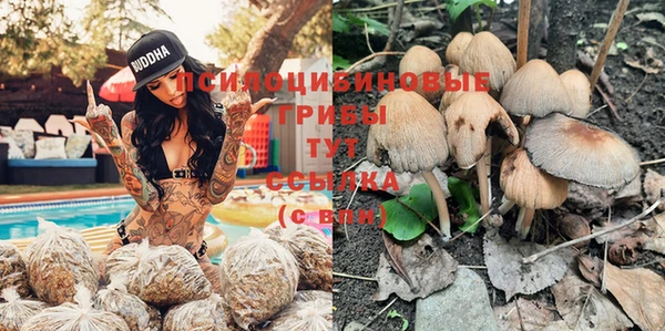 ГАЛЛЮЦИНОГЕННЫЕ ГРИБЫ Белокуриха