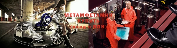 ГАЛЛЮЦИНОГЕННЫЕ ГРИБЫ Белокуриха